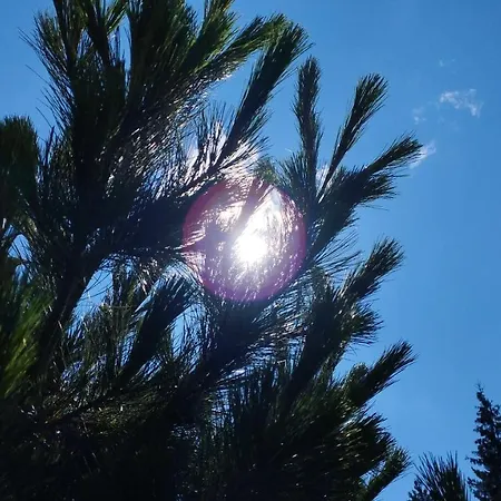 ловна в рила بيت خشبي بانيشيست