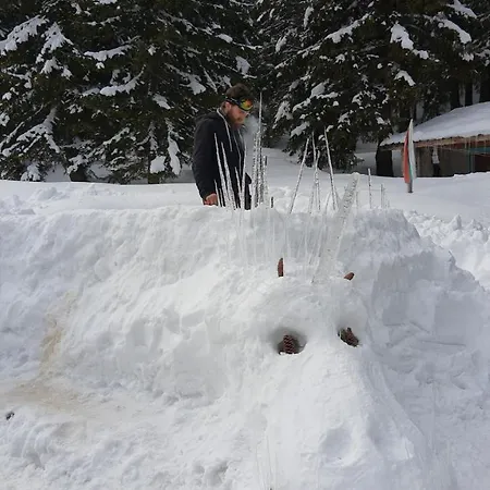 ловна в рила بيت خشبي *