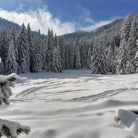 ловна в рила * بانيشيست