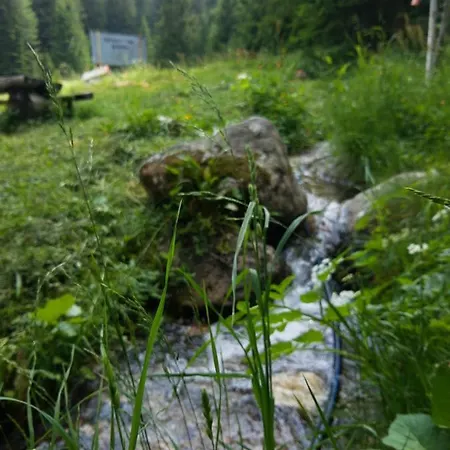 ловна в рила *