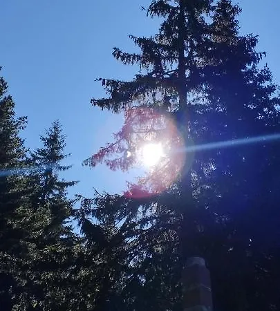 ловна в рила * Panichishte