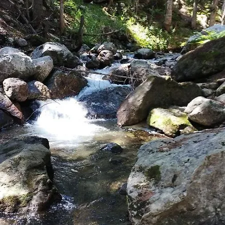 ловна в рила بانيشيست