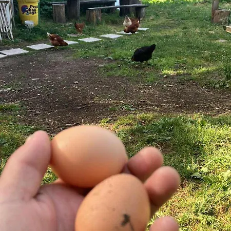 ловна в рила * بانيشيست