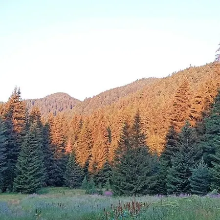 بيت خشبي ловна в рила