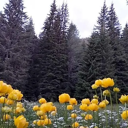 ловна в рила *