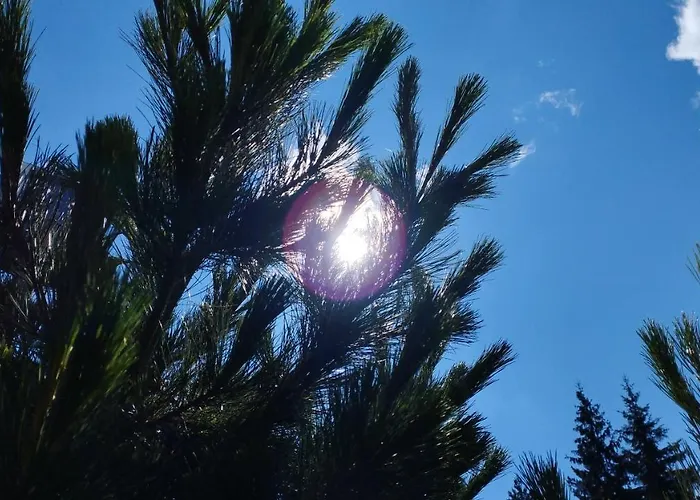 ловна в рила Jaktstuga Panichishte