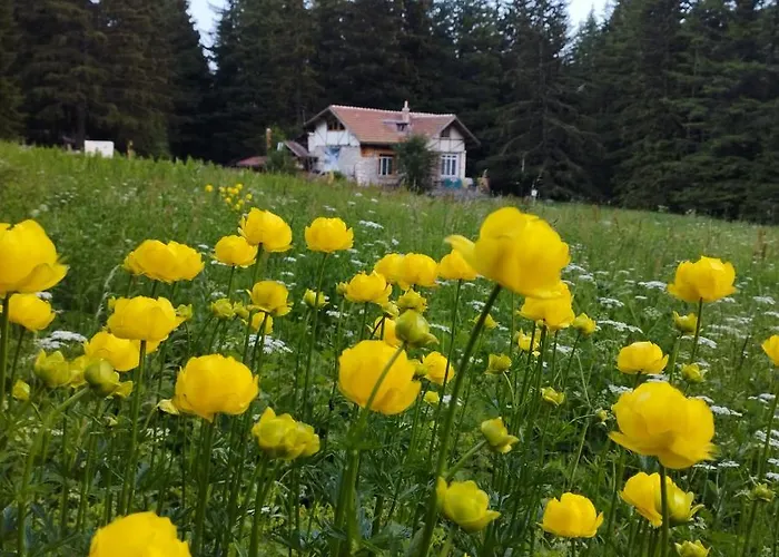 ловна в рила *