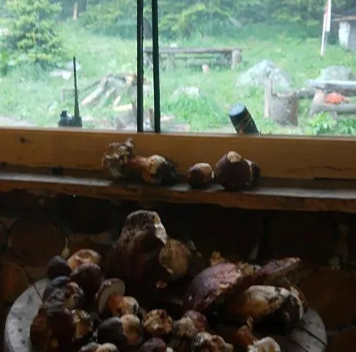 Lodge ловна в рила