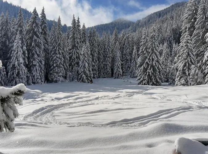 ловна в рила * Panichishte