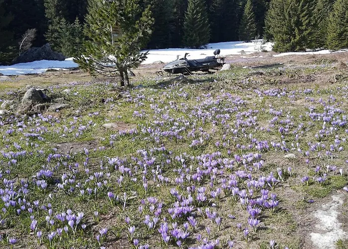 ловна в рила Jaktstuga Panichishte