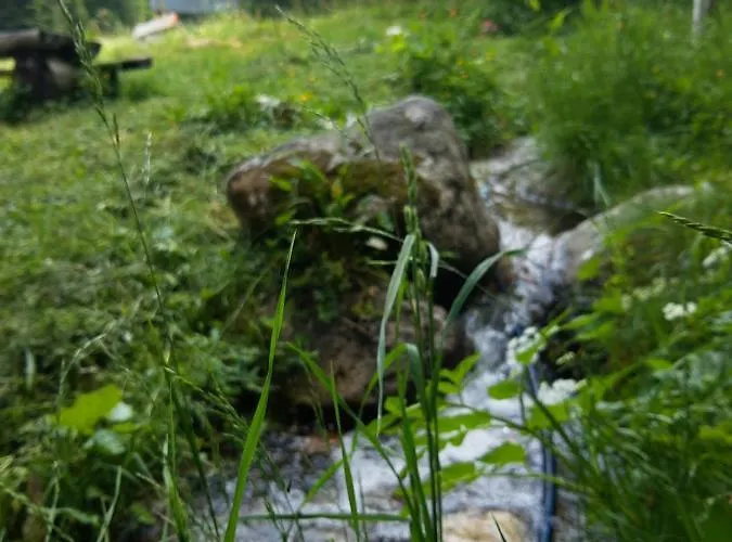 ловна в рила *