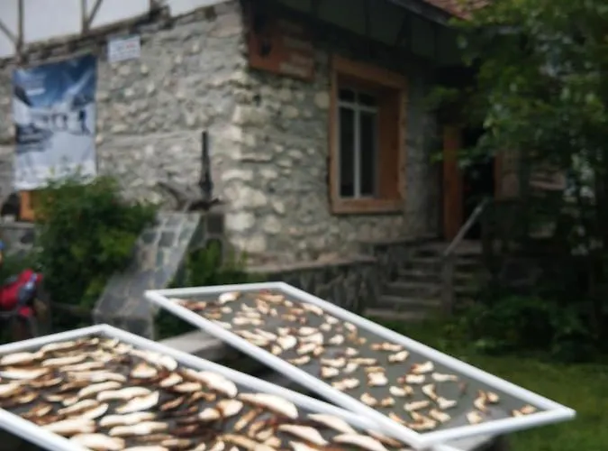 ловна в рила Panichishte