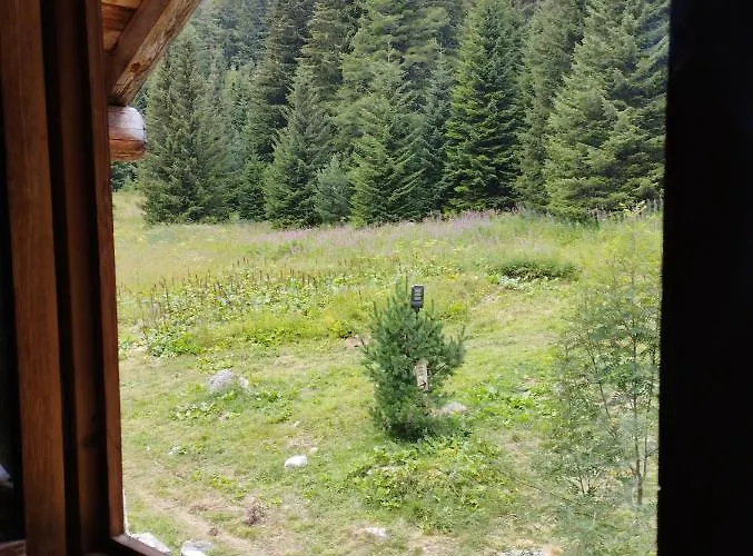 ловна в рила Lodge