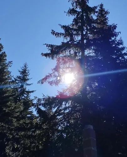 ловна в рила * Panichishte