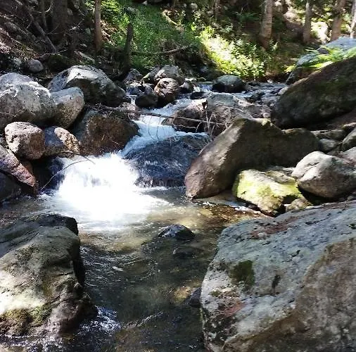 ловна в рила Panichishte