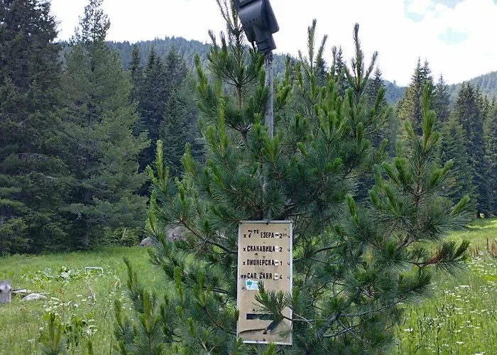 ловна в рила * Panichishte