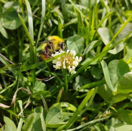 ловна в рила Lodge