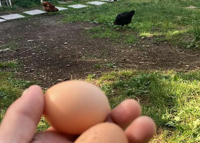 ловна в рила * Panichishte