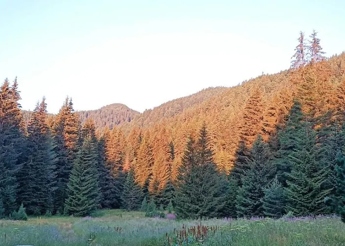 Lodge ловна в рила